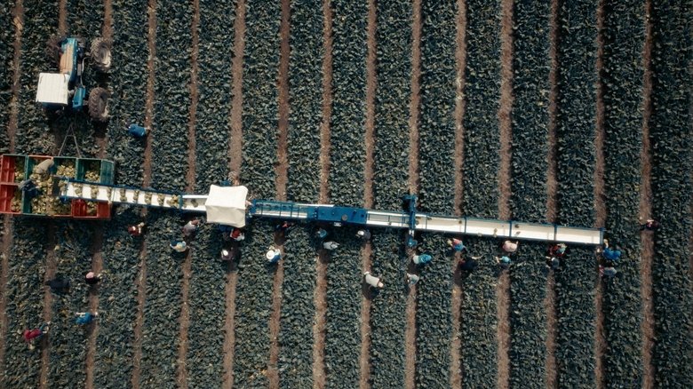 кадр из фильма La edad del agua