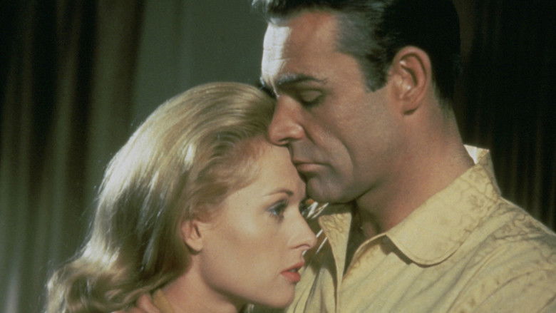 кадр из фильма Mr. Kingstreet's War