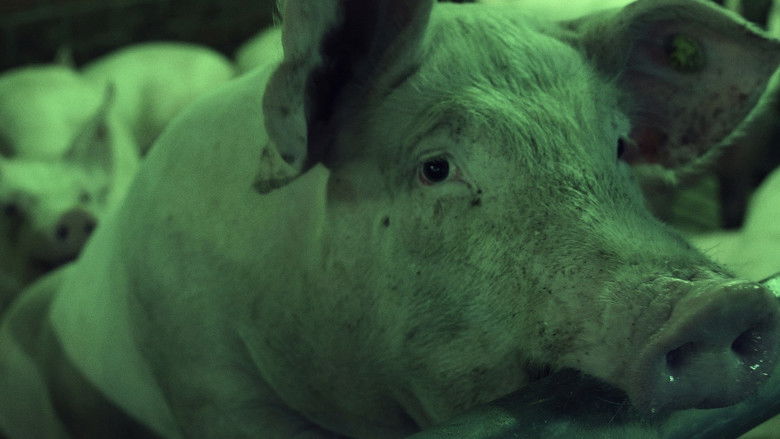 кадр из фильма Правила конвейера, на высокой скорости