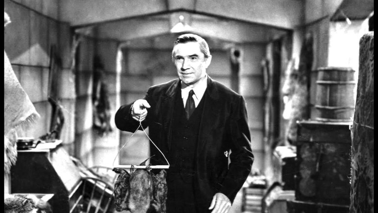 кадр из фильма The Devil Bat