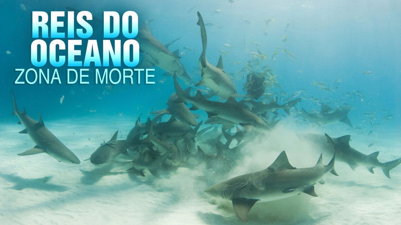 кадр из фильма Shark Kill Zone: The Hunt