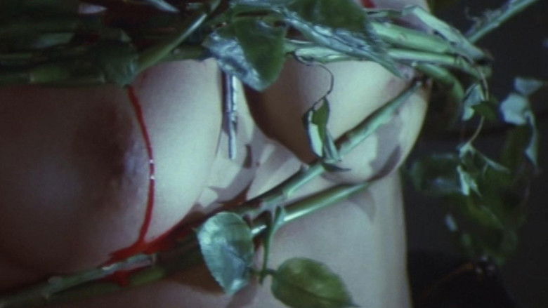 кадр из фильма Школа священного зверя