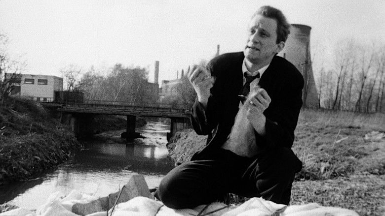 кадр из фильма Человек кусает собаку