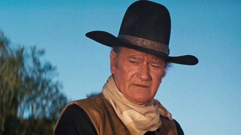 кадр из фильма Жестяная звезда