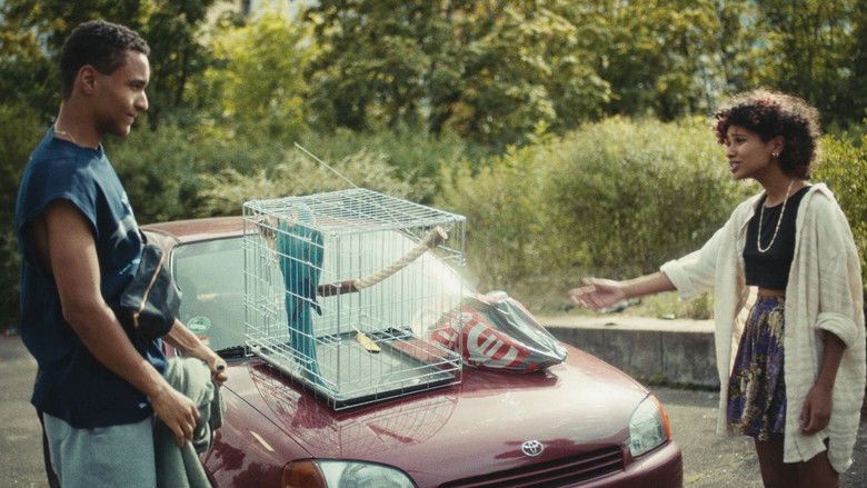 кадр из фильма Paradiesvogel