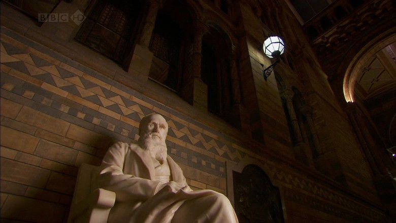 кадр из фильма Чарльз Дарвин и Древо жизни