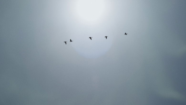 кадр из фильма A Place to Hide