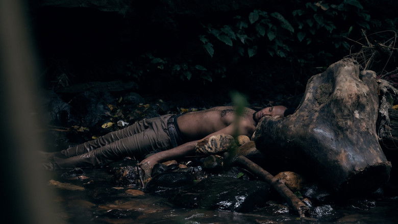 кадр из фильма Wrong Journey