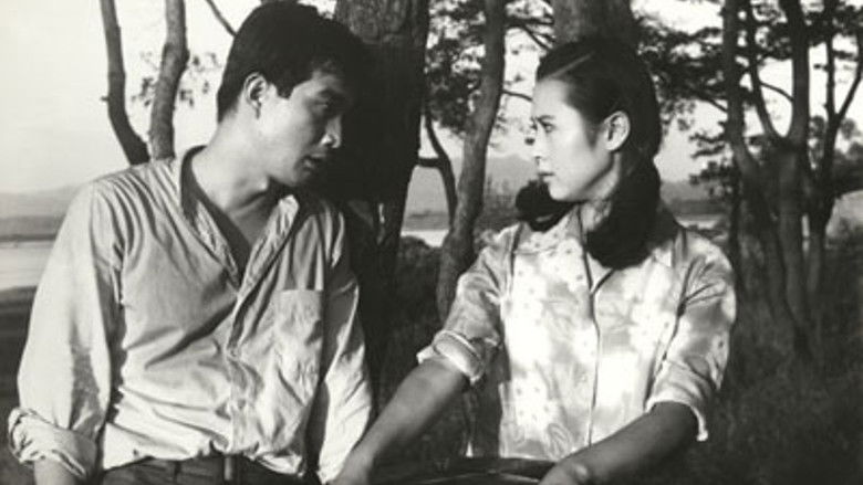 кадр из фильма 까치소리