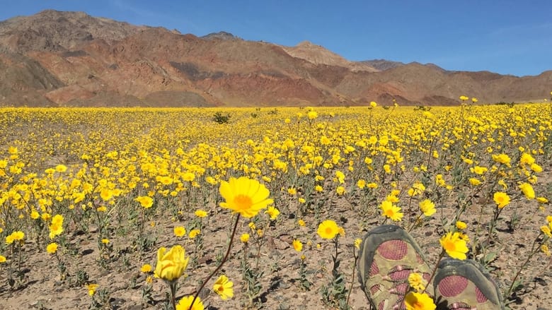 кадр из фильма National Parks Exploration Series: Death Valley