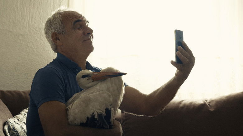 кадр из фильма Приказната за Силјан