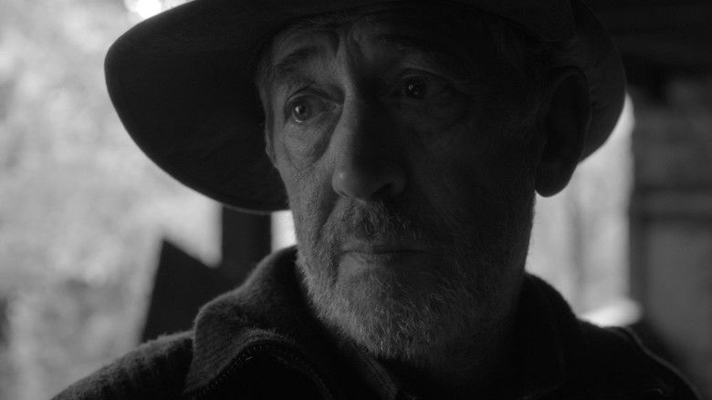 кадр из фильма Живые дымоходы