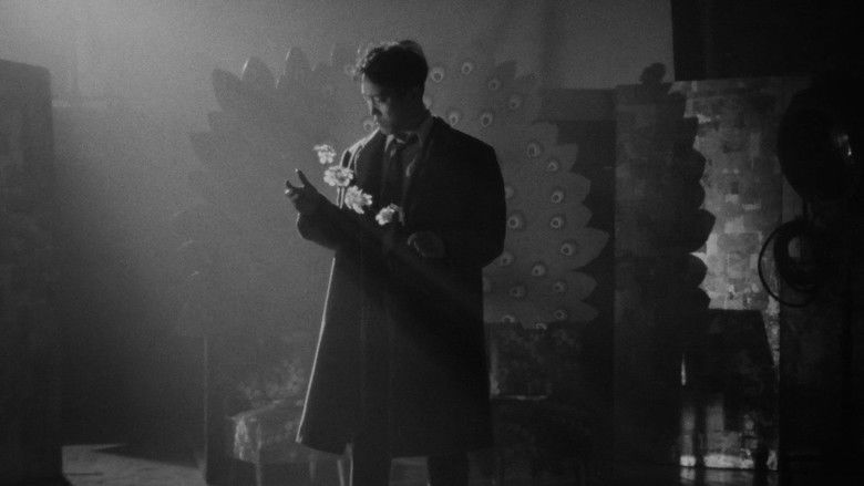 кадр из фильма 夢みるように眠りたい