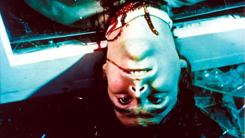 кадр из фильма Террор