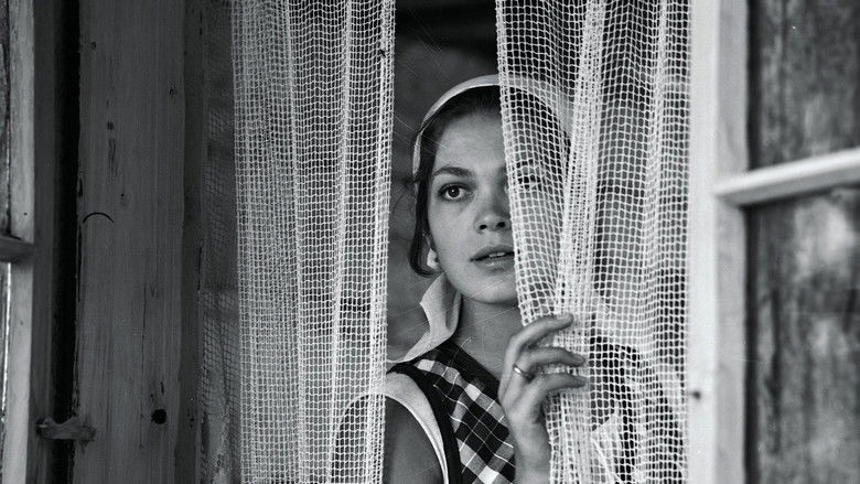 кадр из фильма Родник в лесу