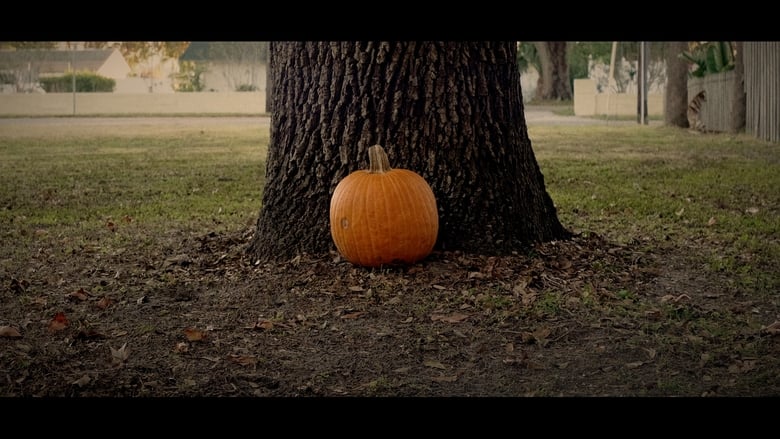 Sean Hates Pumpkins