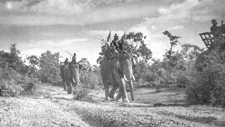 кадр из фильма พระเจ้าช้างเผือก