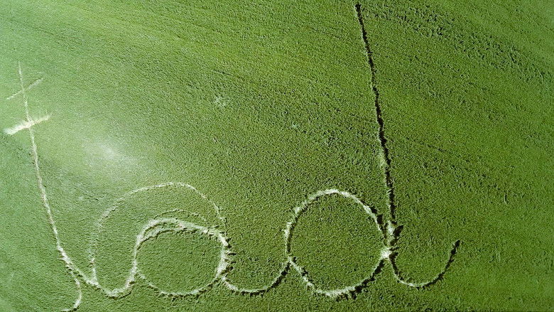 кадр из фильма Baumwolle (So Sind Wir)