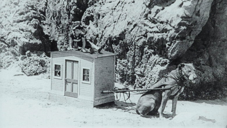 кадр из фильма Sea Shore Shapes