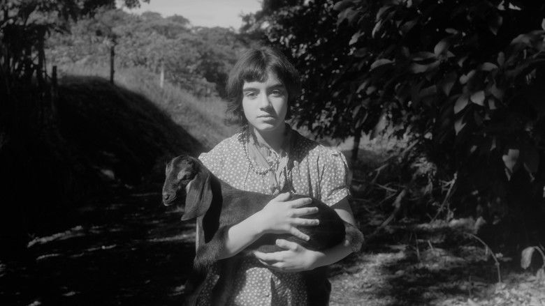 кадр из фильма Cabra y Madre