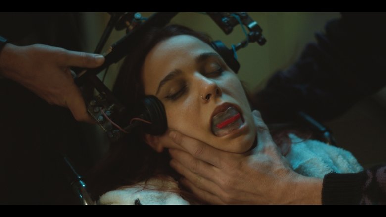 кадр из фильма Los Bobos