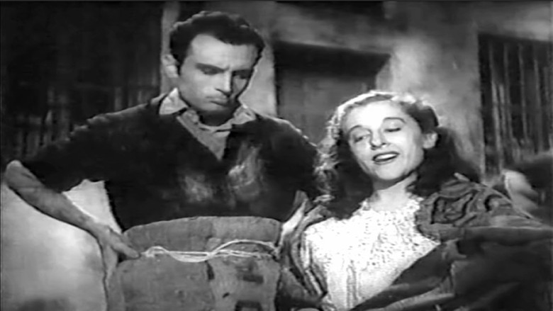 кадр из фильма Окрестности