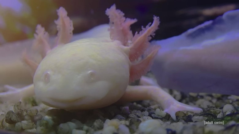 кадр из фильма Relaxing Old Footage With Joe Pera