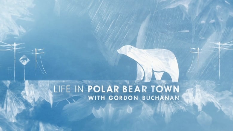 кадр из фильма Life in Polar Bear Town with Gordon Buchanan