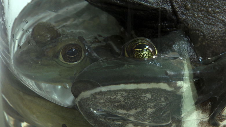 кадр из фильма The Lamps