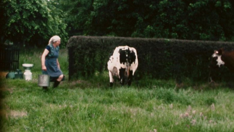 кадр из фильма Mémé