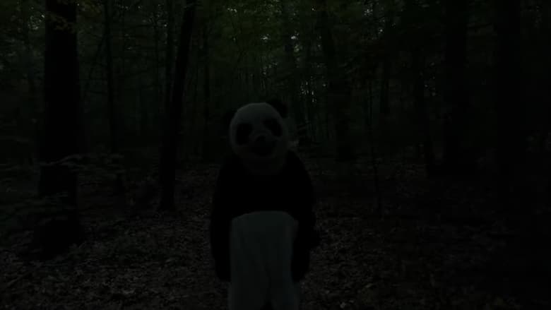 кадр из фильма The Wild Panda