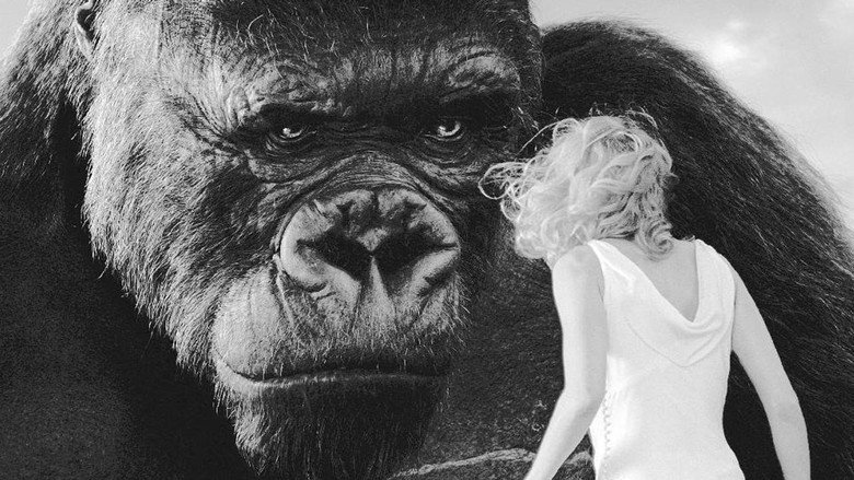 кадр из фильма « King Kong » : le cœur des ténèbres