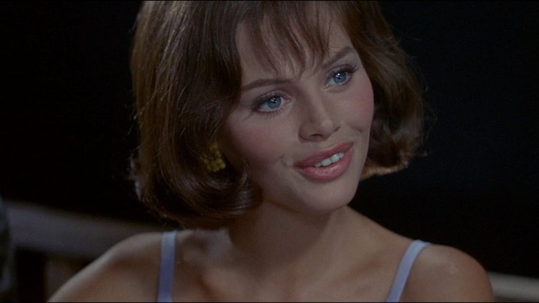 В погоне за «Лисом»