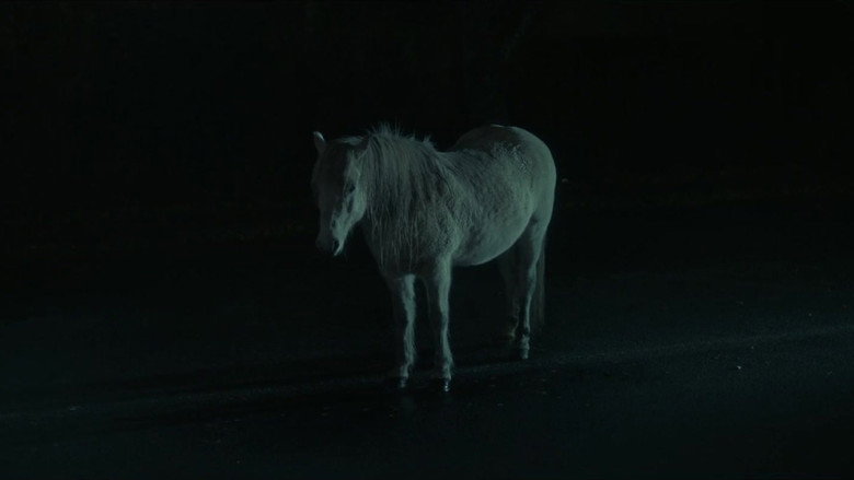 кадр из фильма Einvera