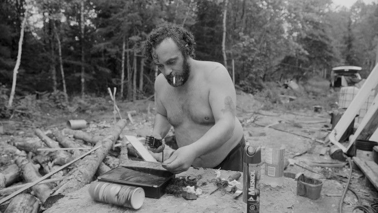 кадр из фильма Des chats sauvages