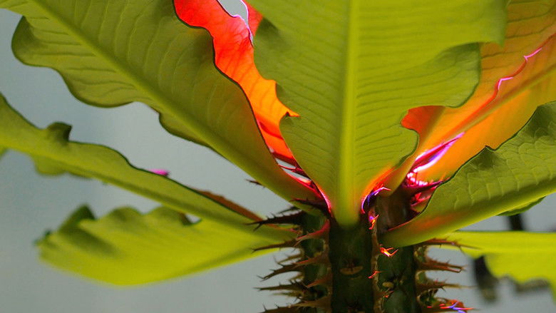 кадр из фильма Больше света