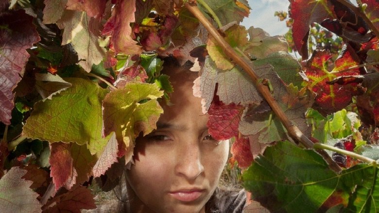 кадр из фильма Огненный ветер