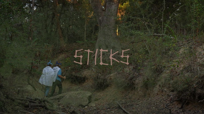 кадр из фильма Sticks