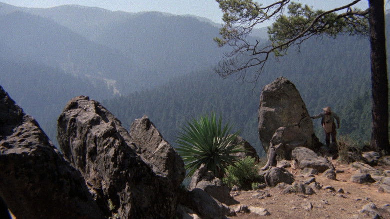 кадр из фильма Rapiña