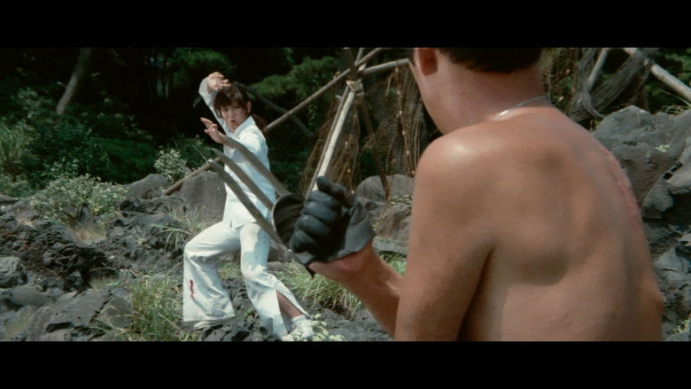 кадр из фильма Леди карате