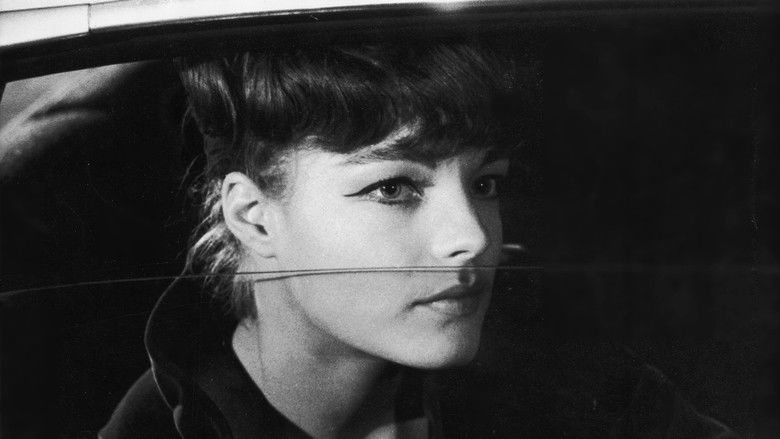 кадр из фильма Поединок на острове