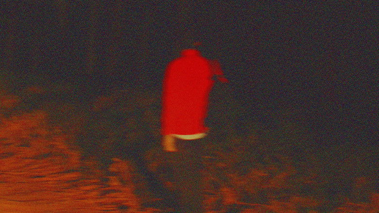 кадр из фильма Expresso Sossego