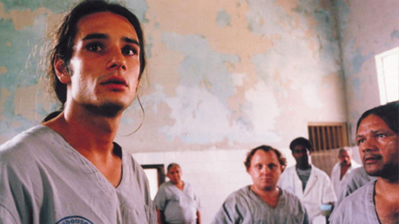 кадр из фильма Bicho de Sete Cabeças