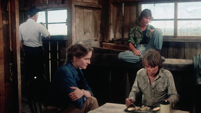 кадр из фильма Долина проклятий