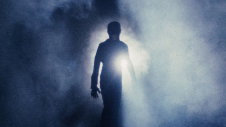 кадр из фильма Ночной зверь