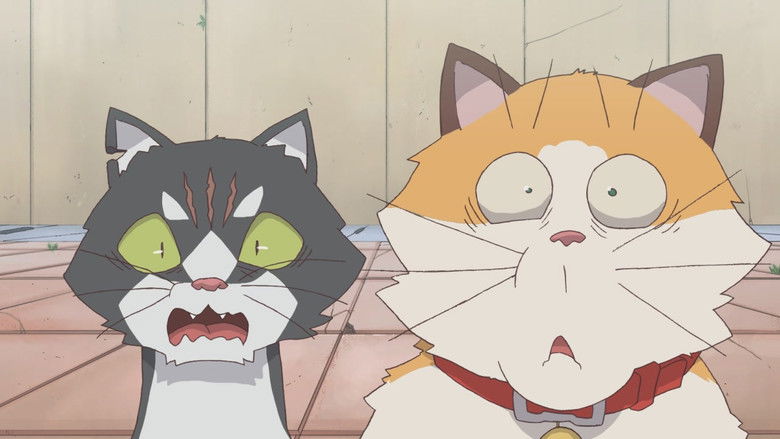 кадр из фильма 달려라 고양이