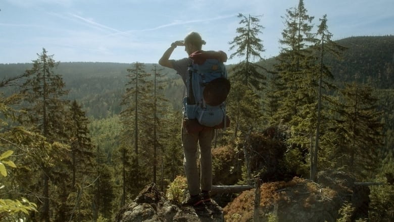 кадр из фильма Der wilde Wald