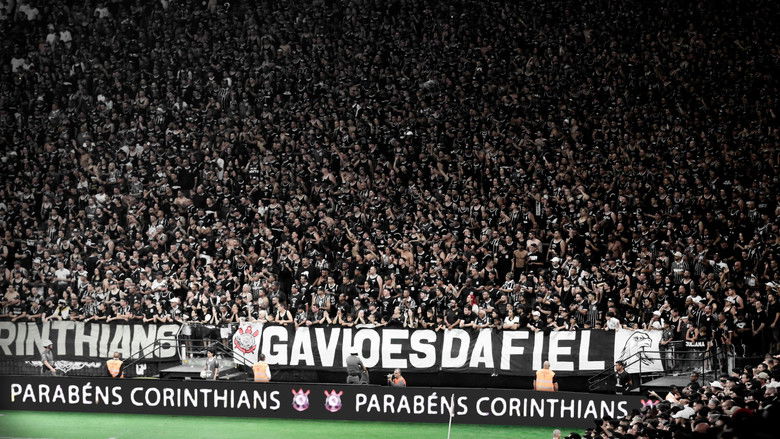 кадр из фильма Bastidores da Loucura