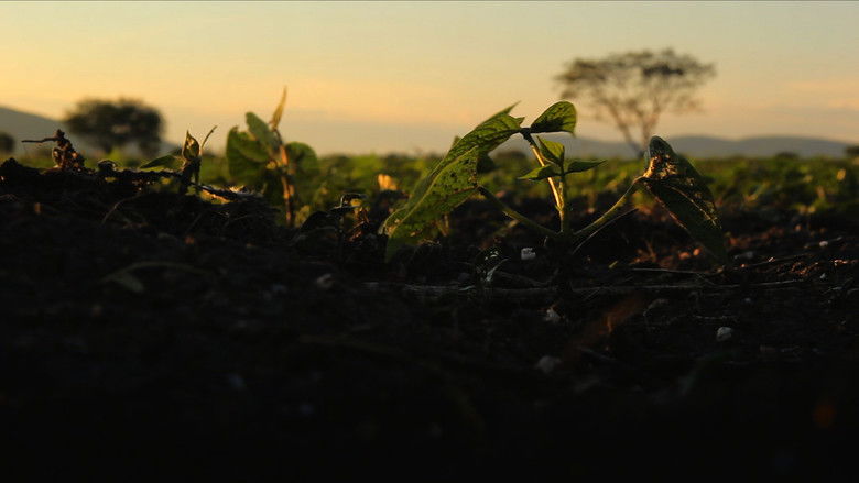 кадр из фильма Titixe