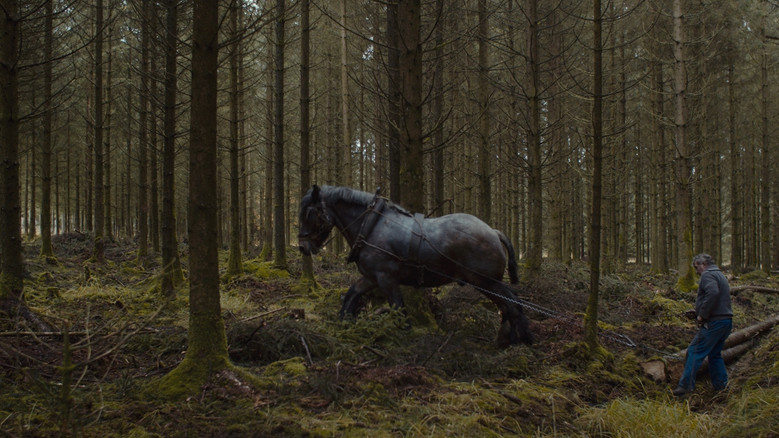 кадр из фильма Arbres